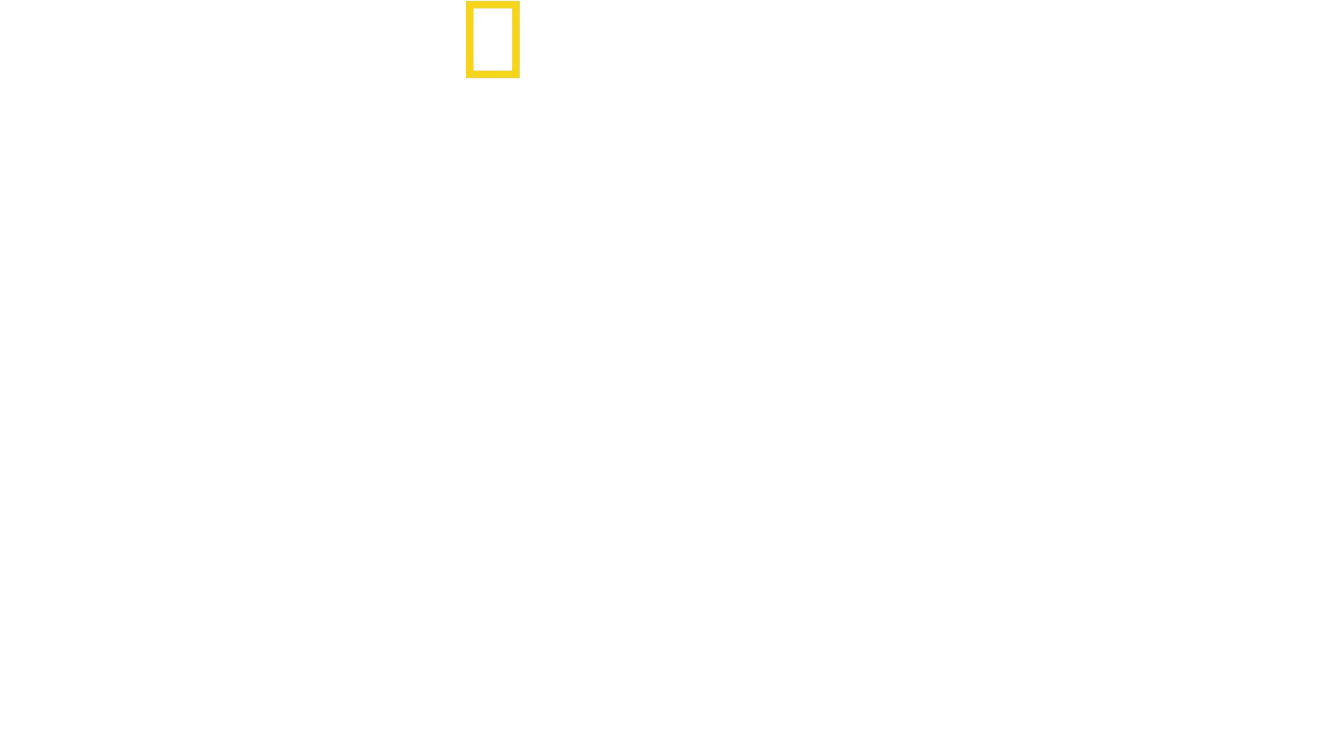 Gengis Khan : l'histoire secrète des Mongoles