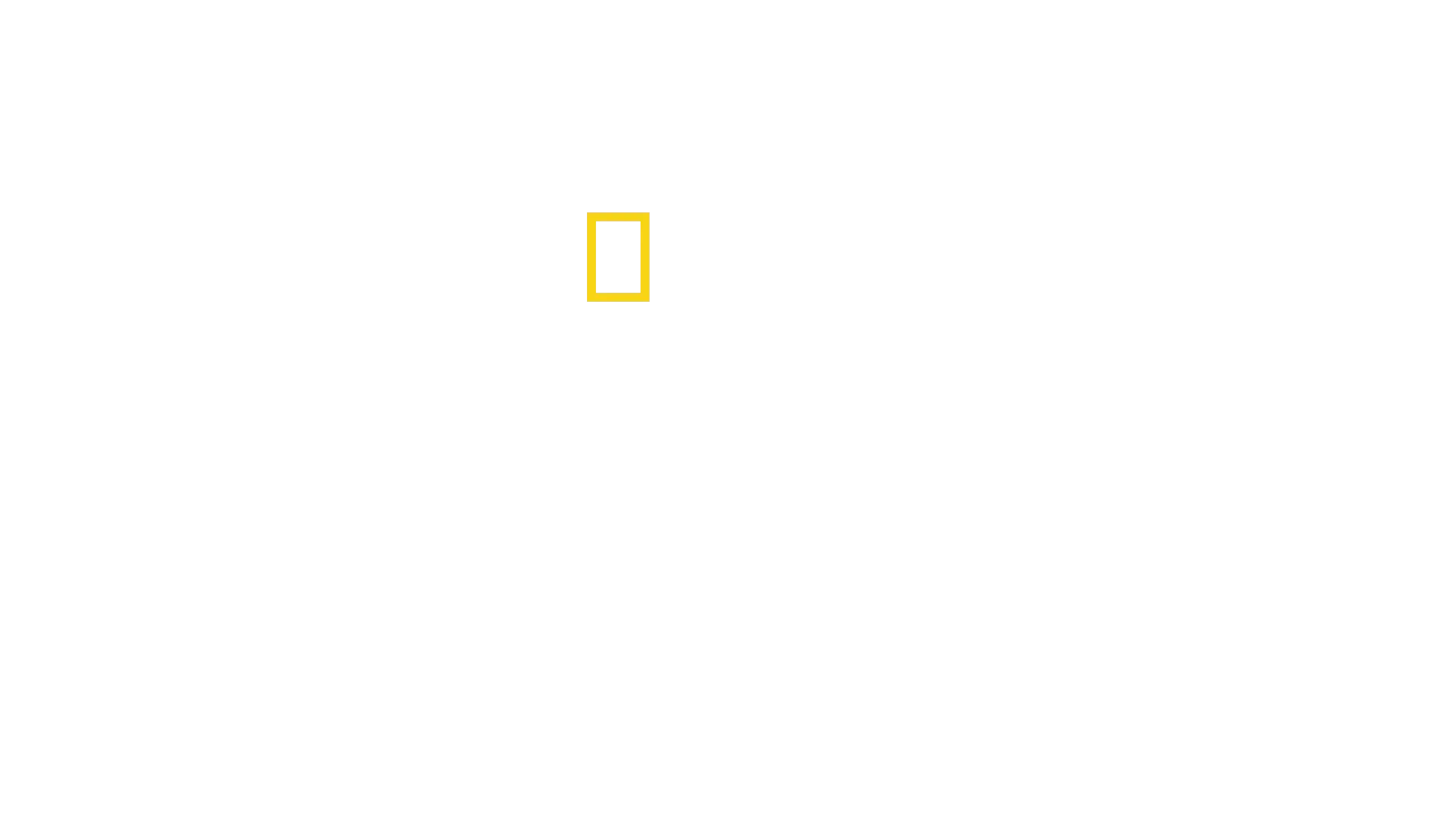 Destination Wild: Yellowstone