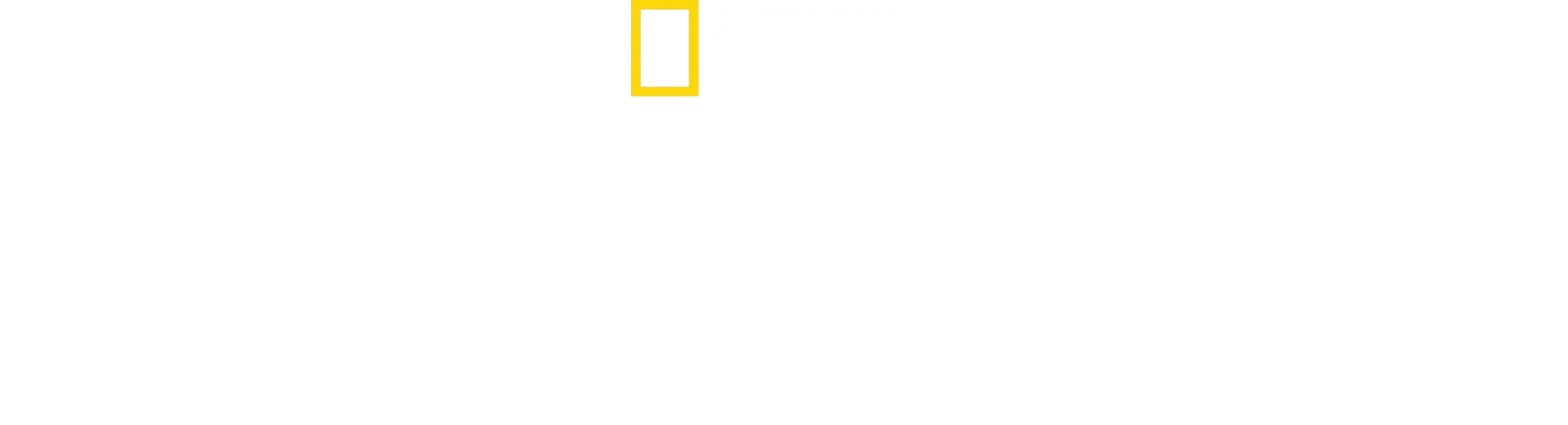 Destination Wild: Yellowstone