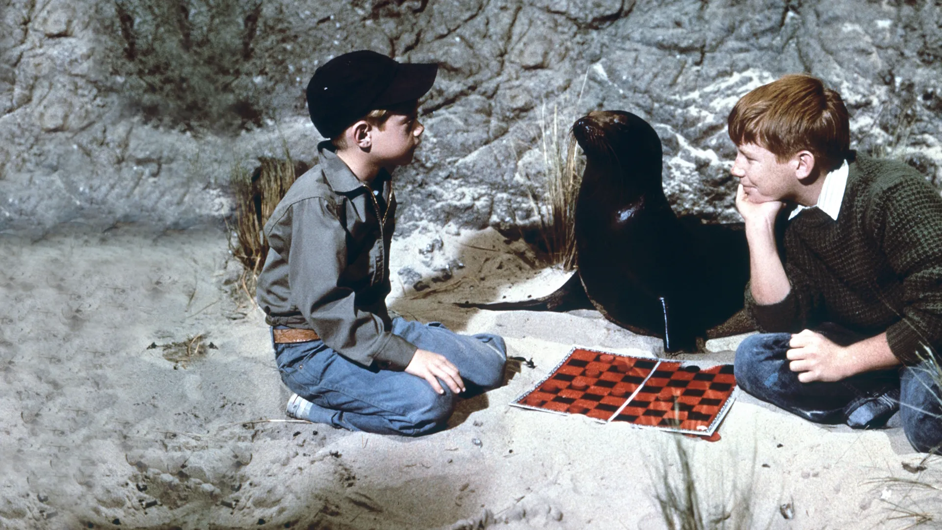 Sammy, el sello de salida