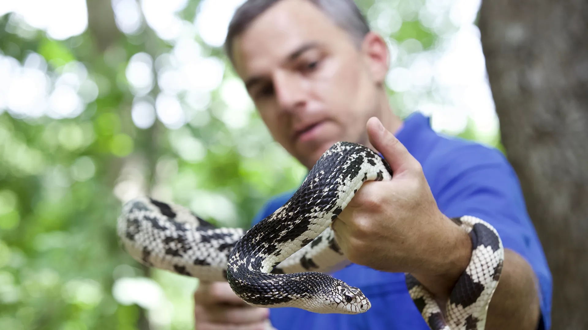 thumbnail - S1:E2 Dr. Zoo-Little