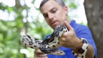 thumbnail - S1:E2 Dr. Zoo-Little