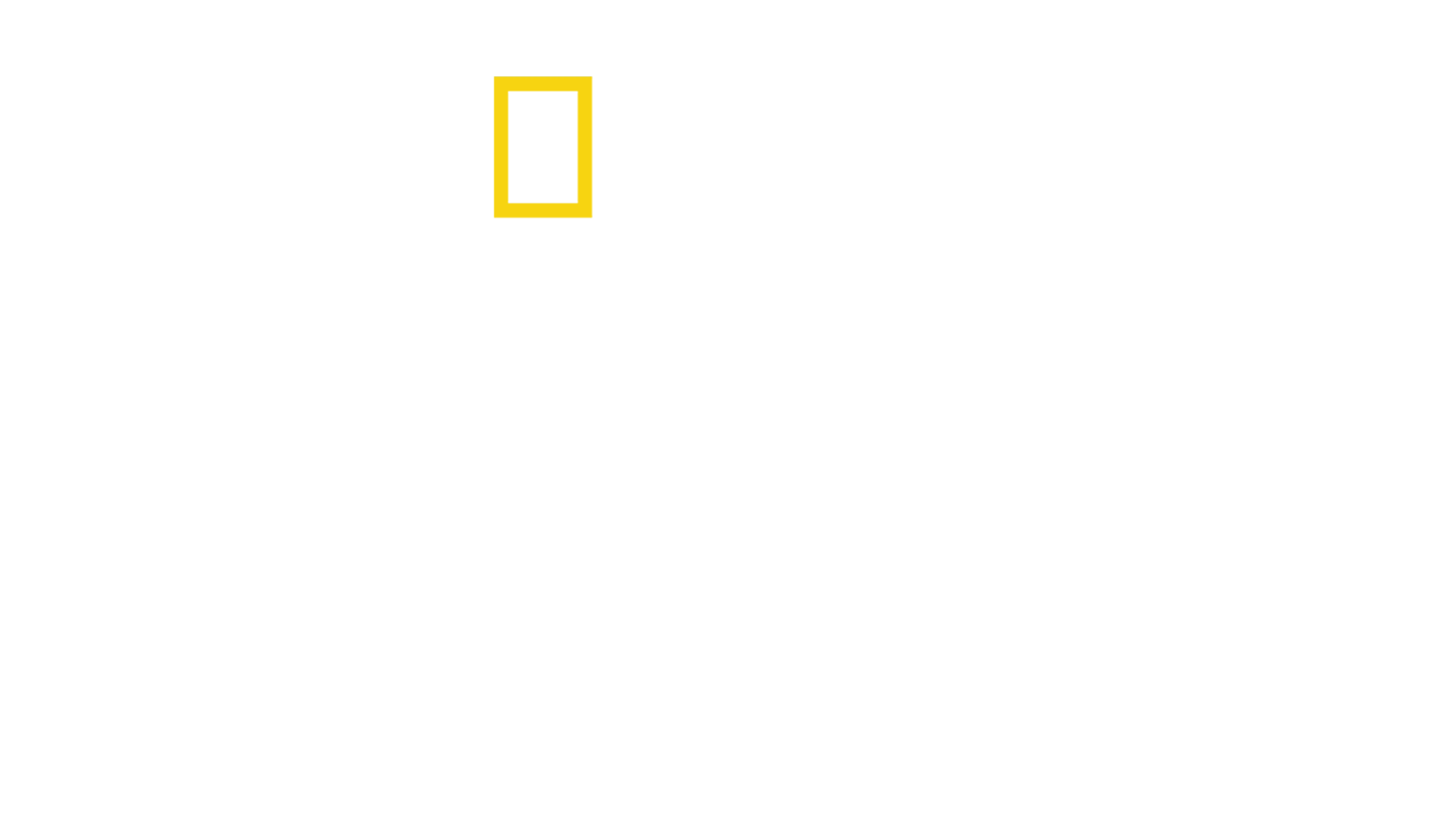 Expediție: Amelia