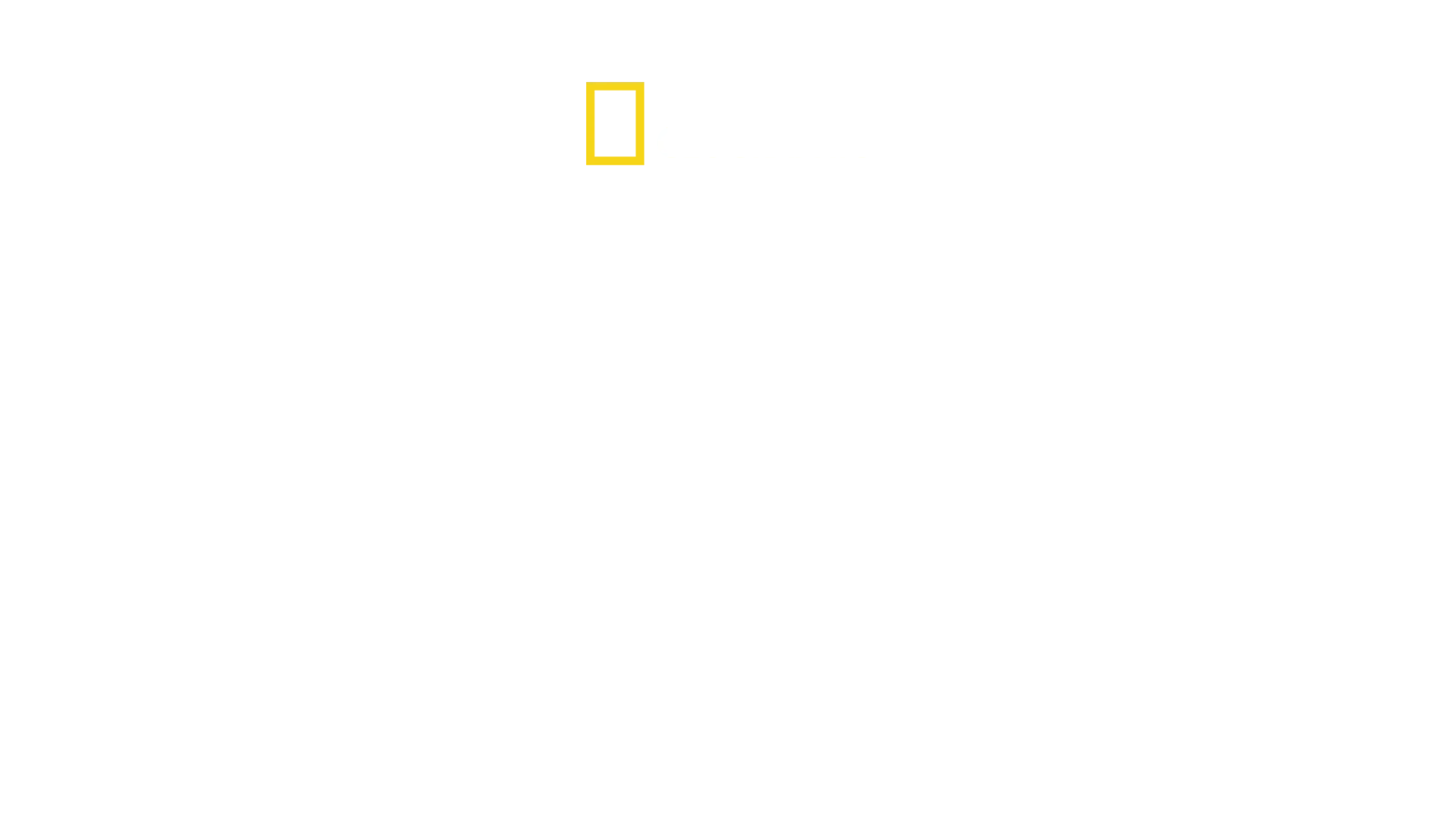 O Desastre do Challenger
