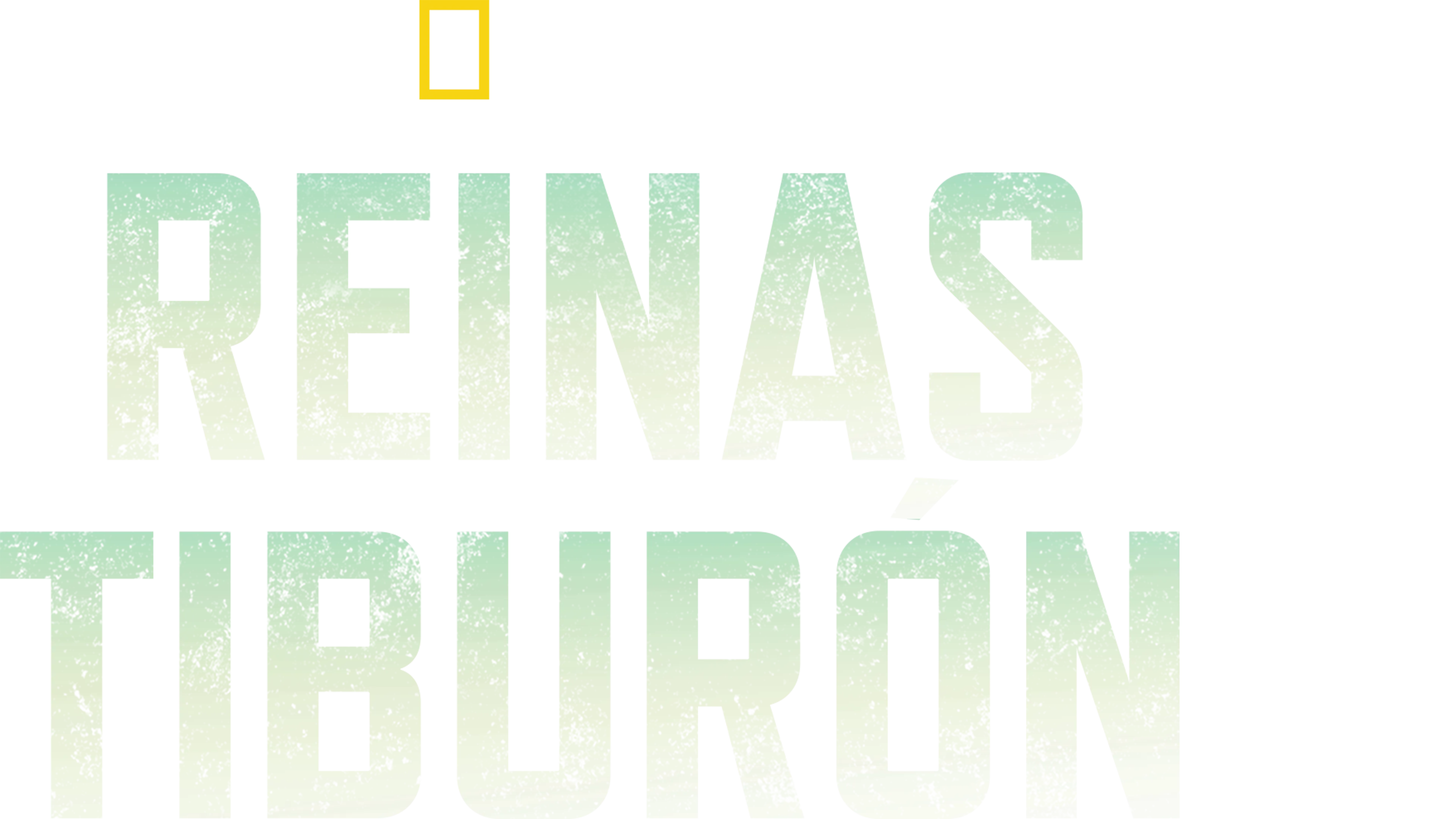 Reinas tiburón