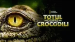 thumbnail - Totul despre crocodili