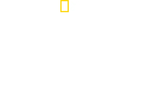 SpaceX'in İçinden Mars