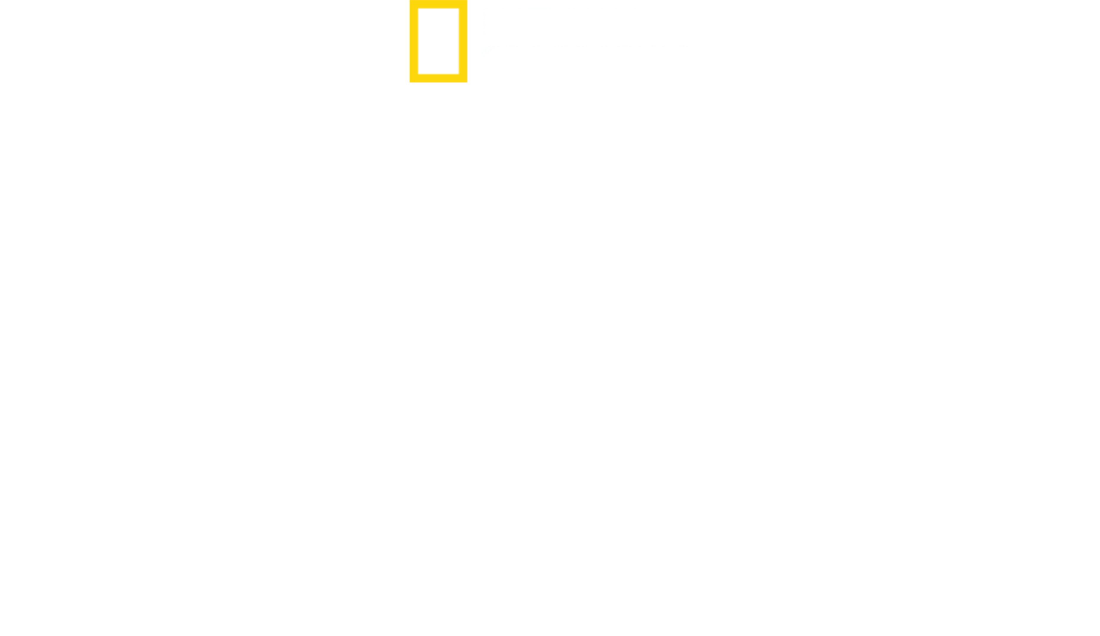SpaceX'in İçinden Mars