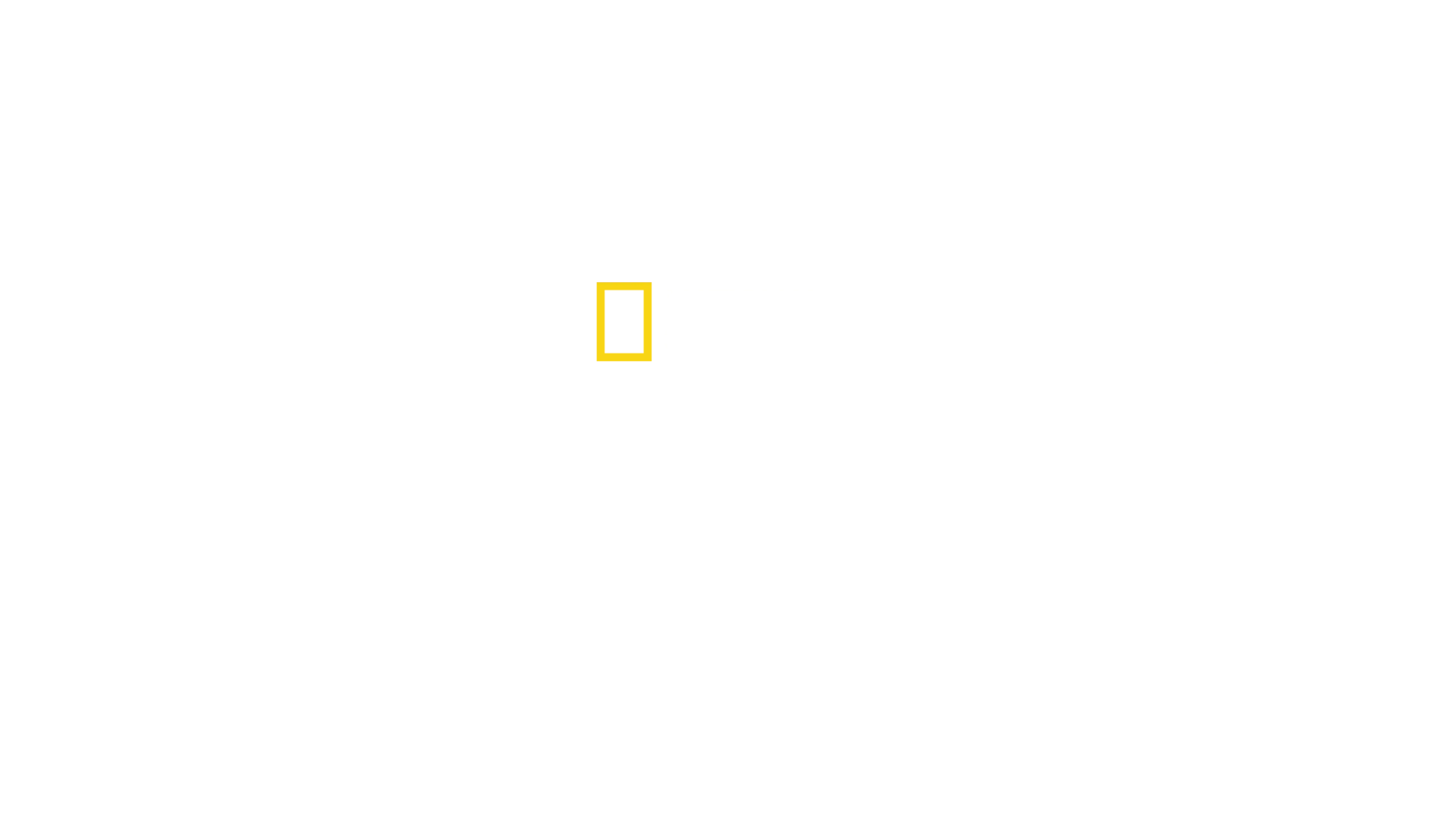 Cápák lakomája