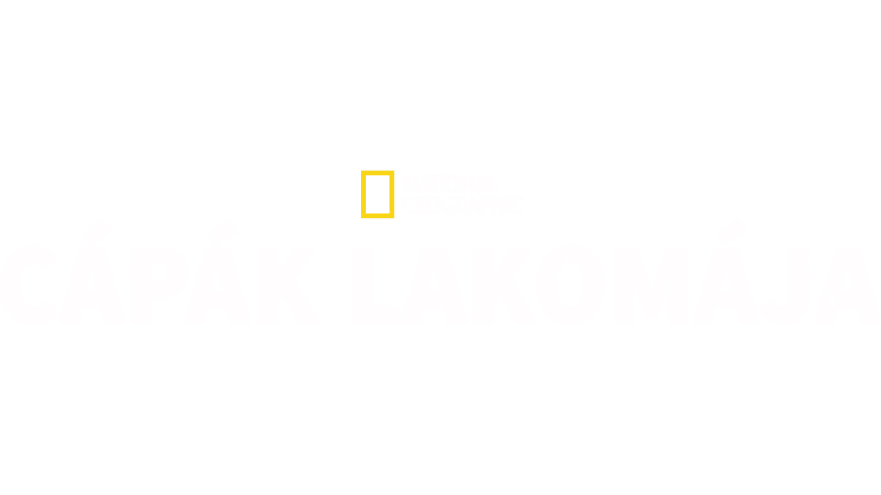 Cápák lakomája