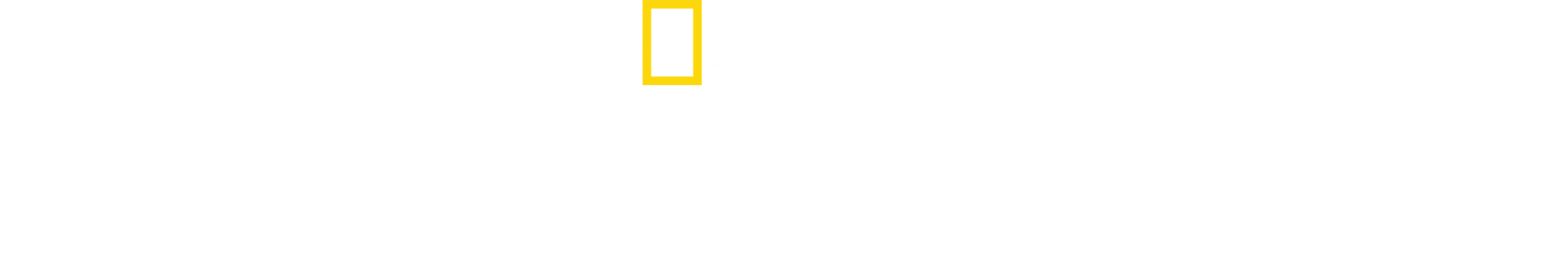 Cápák lakomája