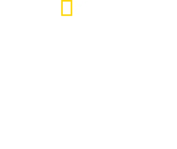 チャレンジャー号爆発事故　30年目の真実