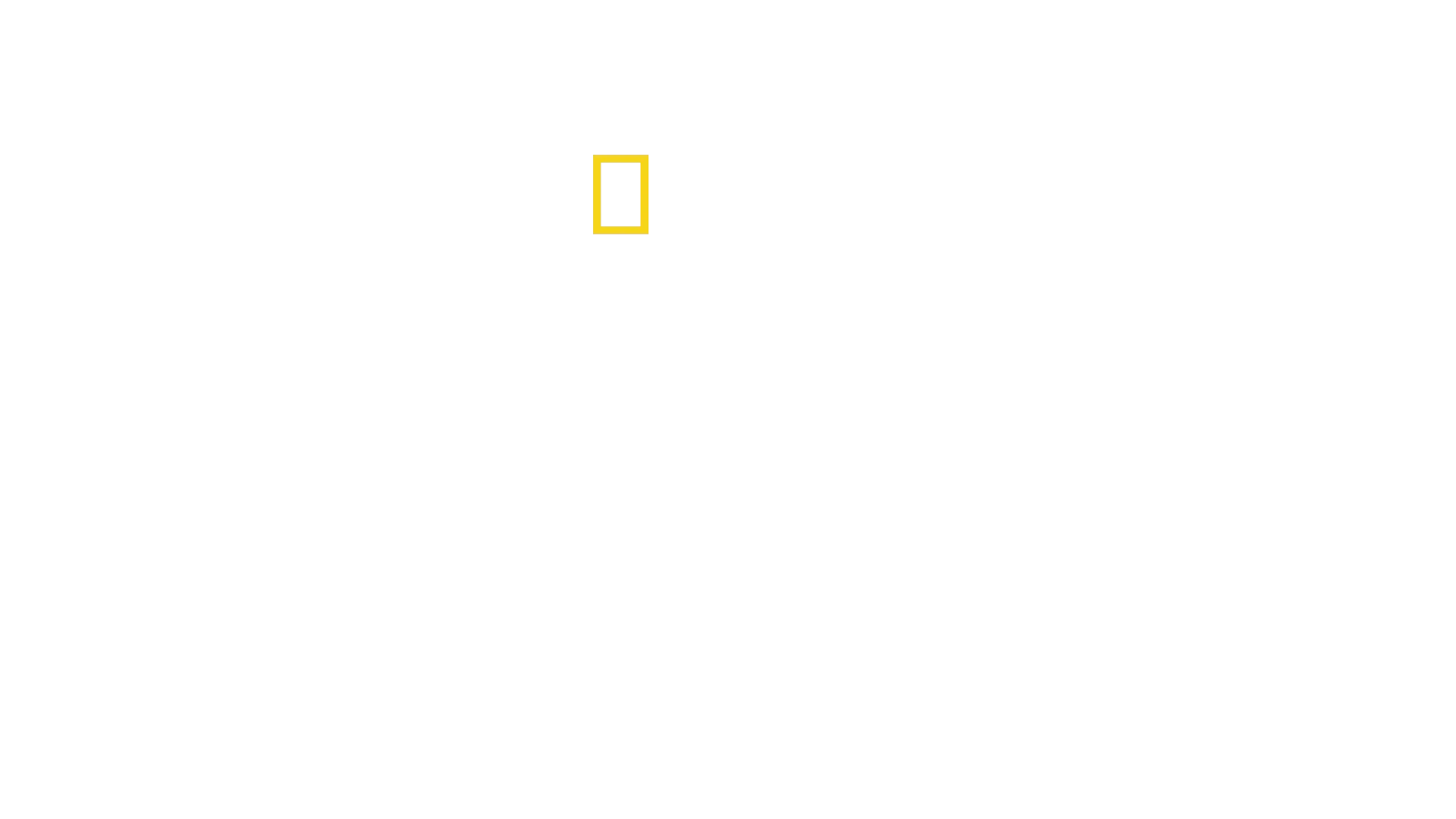 La Revolución del Género