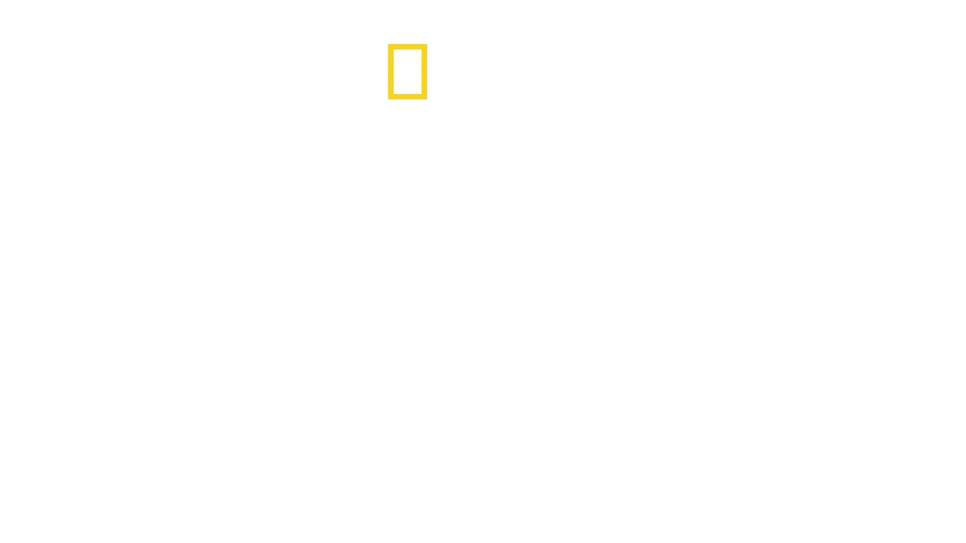 エクスペディション・アマゾン
