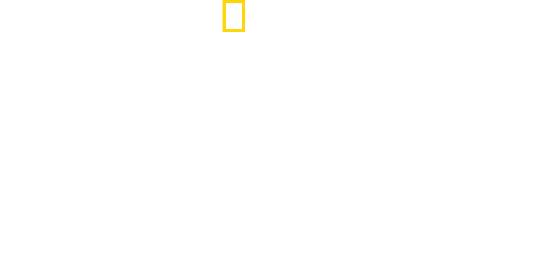 エクスペディション・アマゾン