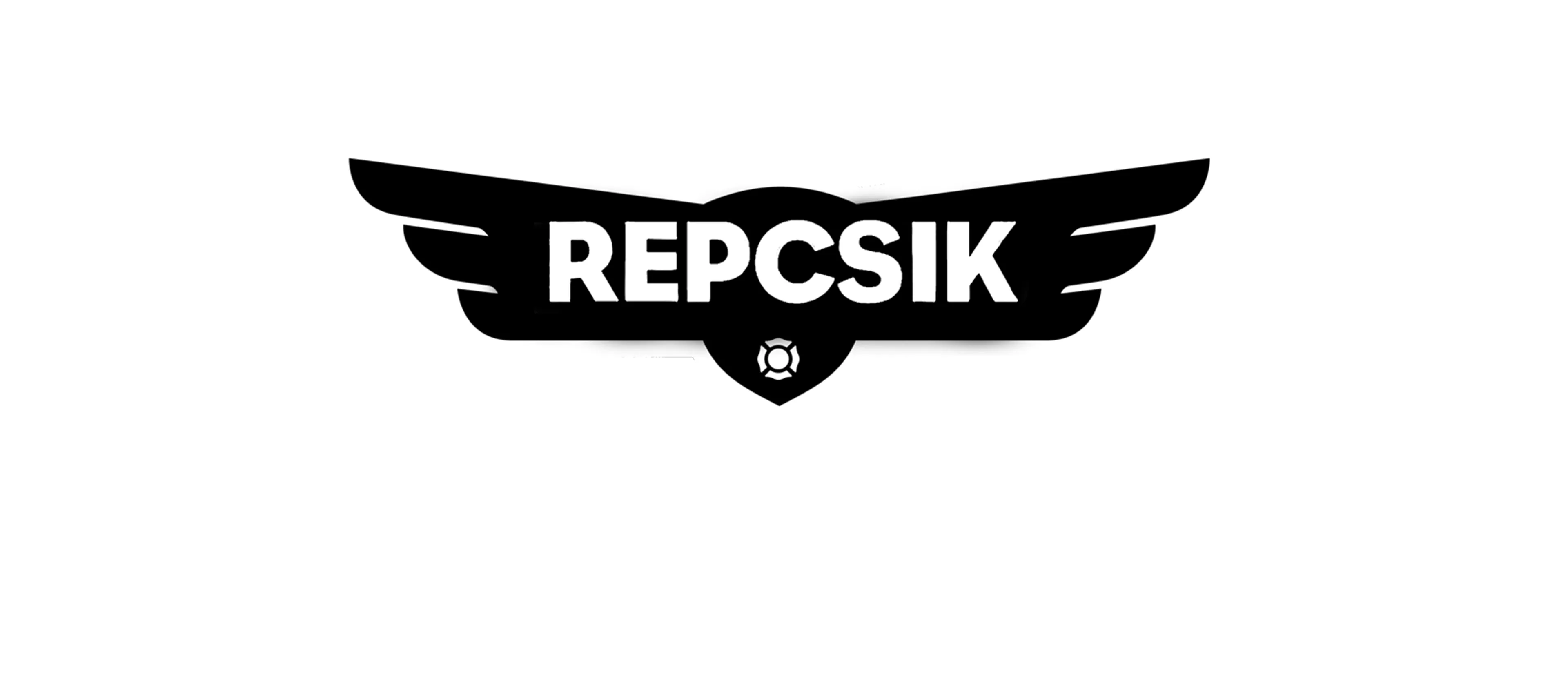Repcsik: A mentőalakulat