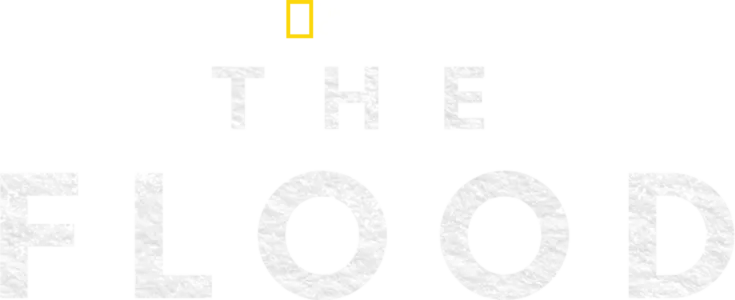 The Flood
