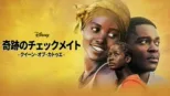 thumbnail - 奇跡のチェックメイト - クイーン・オブ・カトゥエ -