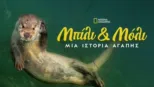 thumbnail - Μπίλι & Μόλι: Μία Ιστορία Αγάπης