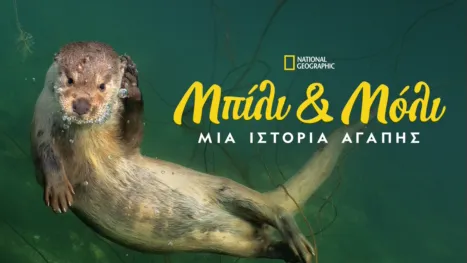 thumbnail - Μπίλι & Μόλι: Μία Ιστορία Αγάπης