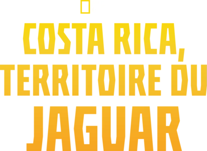 Jaguar Beach Battle