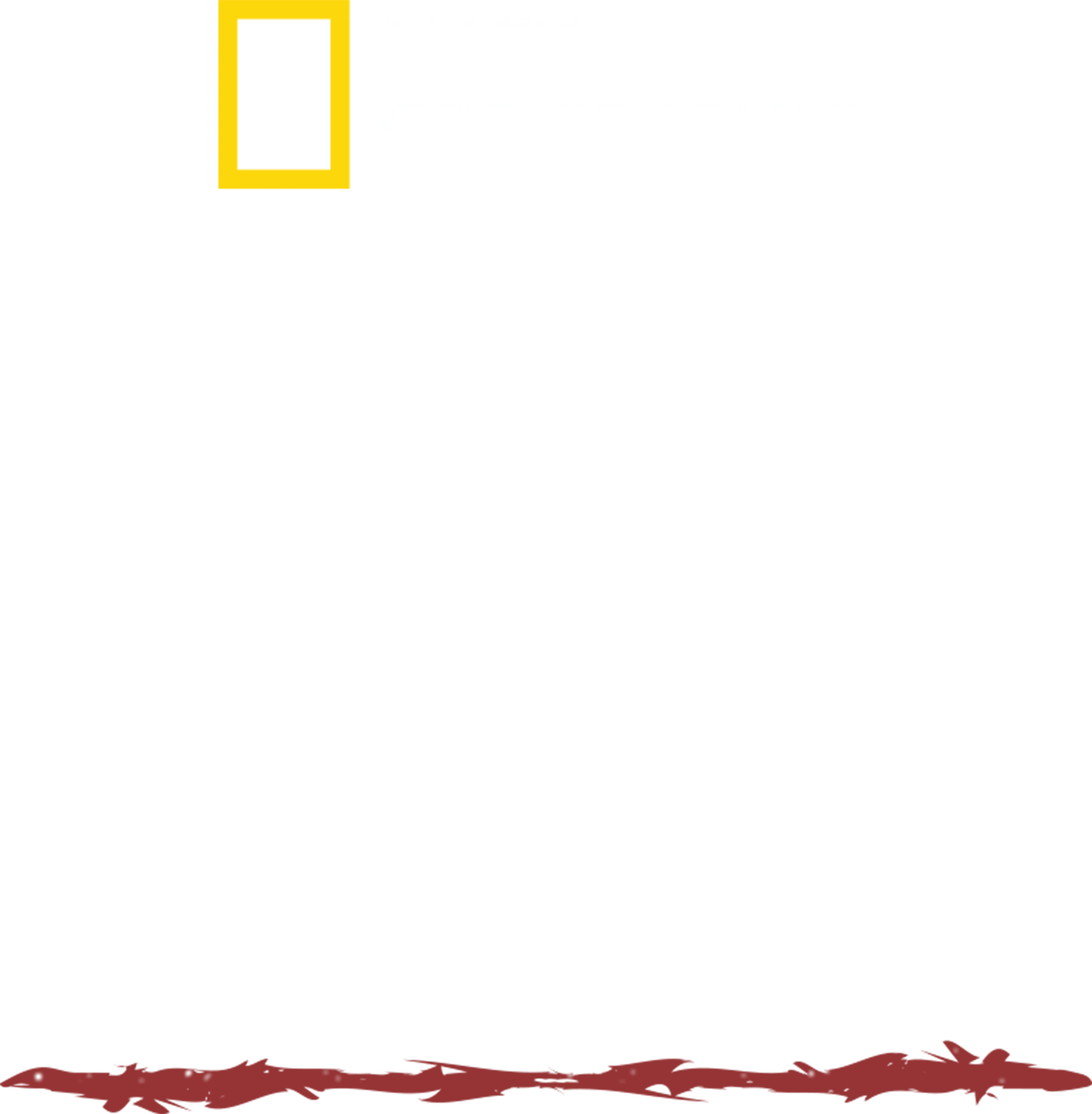 原始求生記