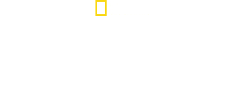 Tumbas bajo el Nilo