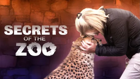 thumbnail - Secrets Of The Zoo