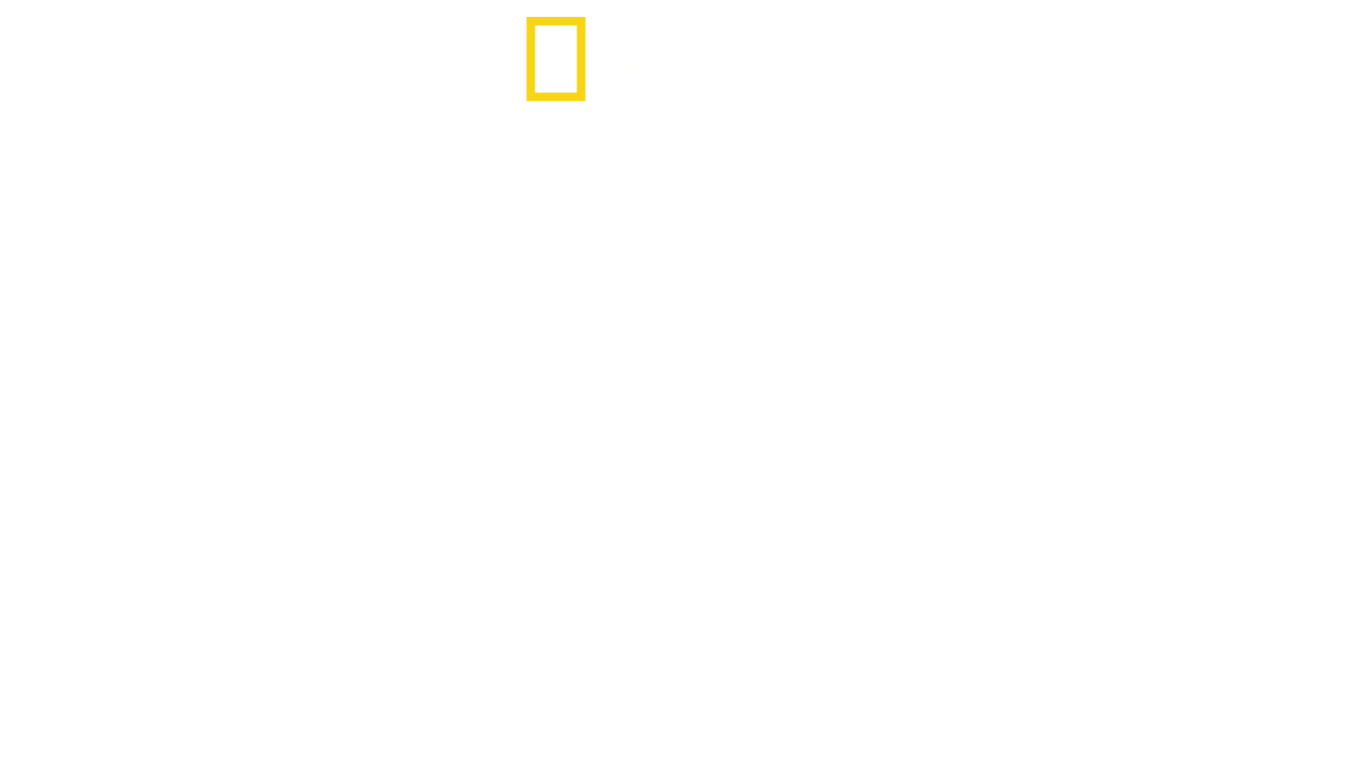 Justicier des océans