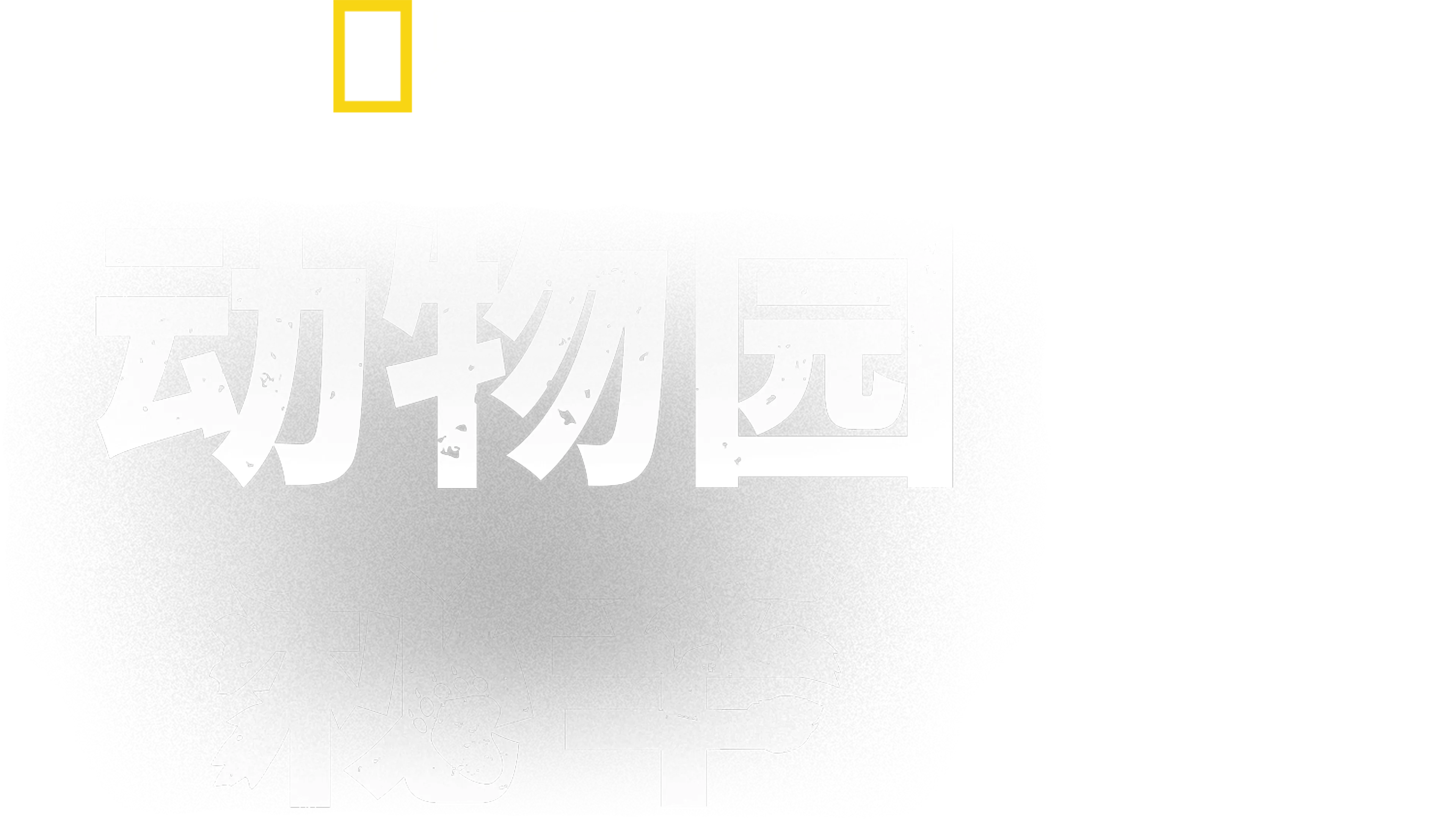 动物园秘辛