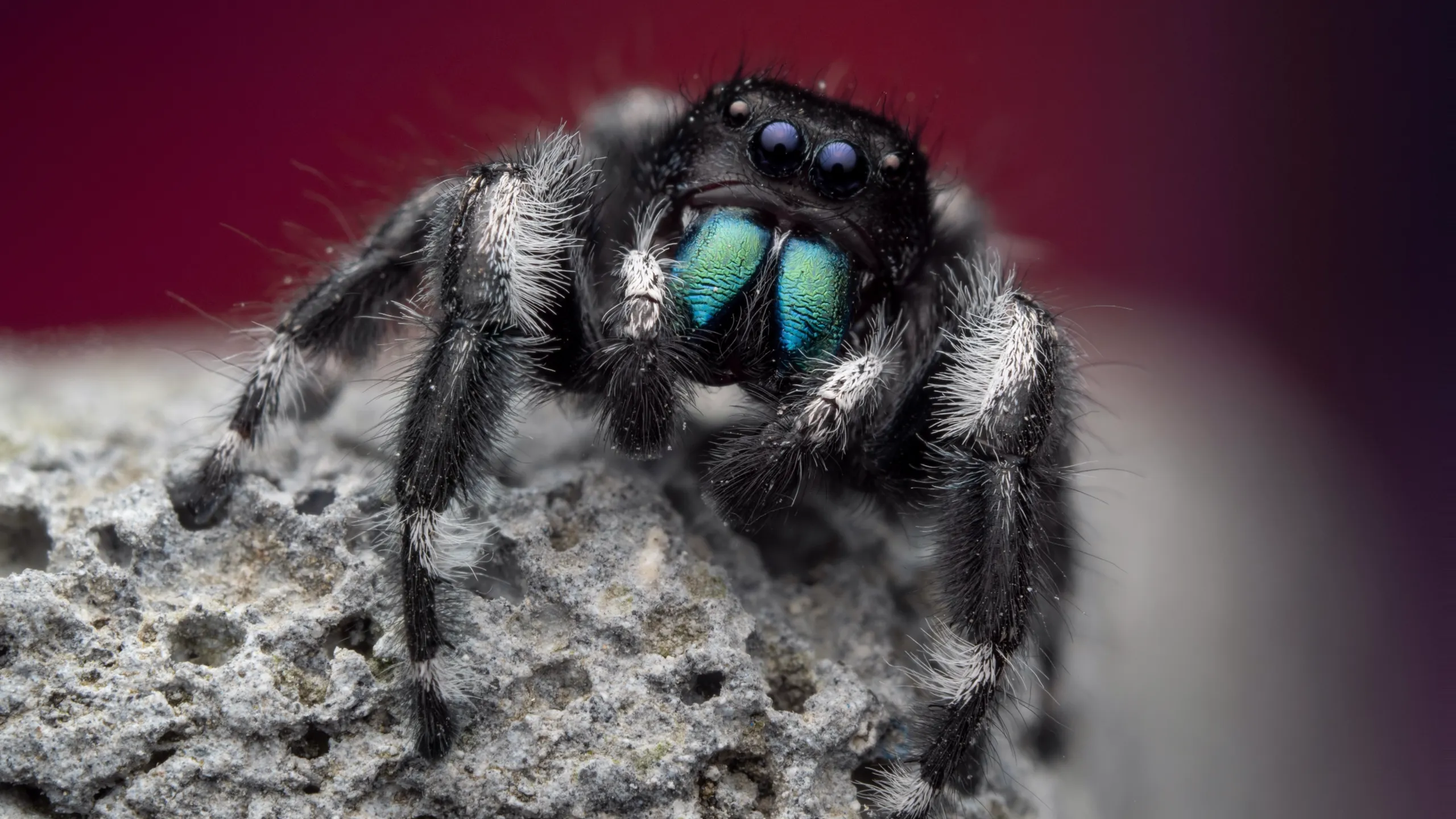 thumbnail - S1:E1 The Big City