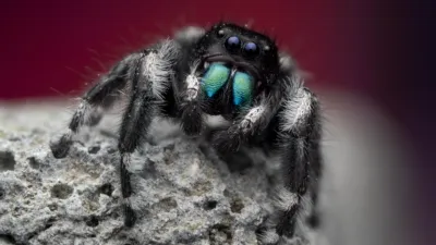 thumbnail - S1:E1 The Big City