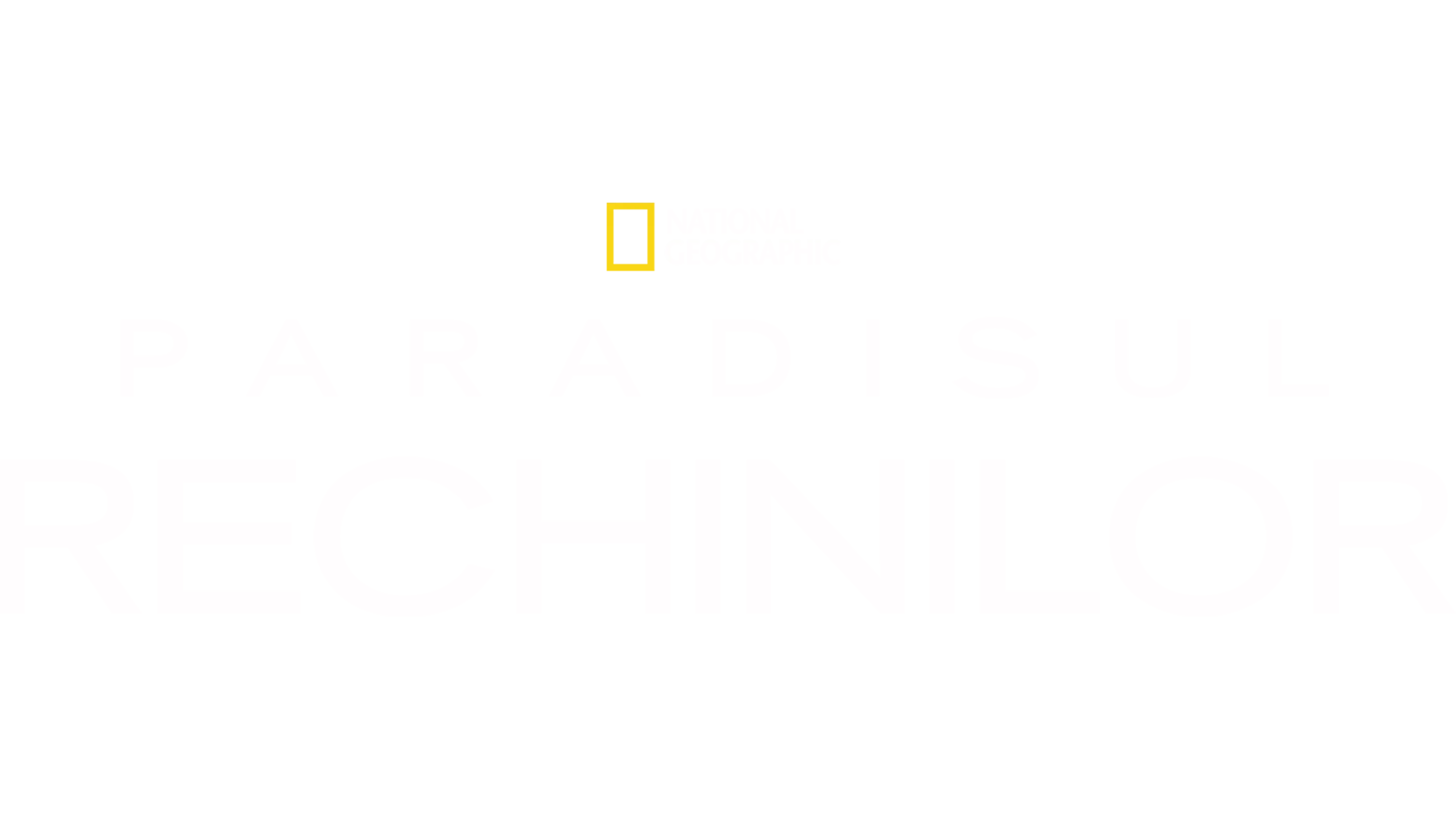 Paradisul rechinilor