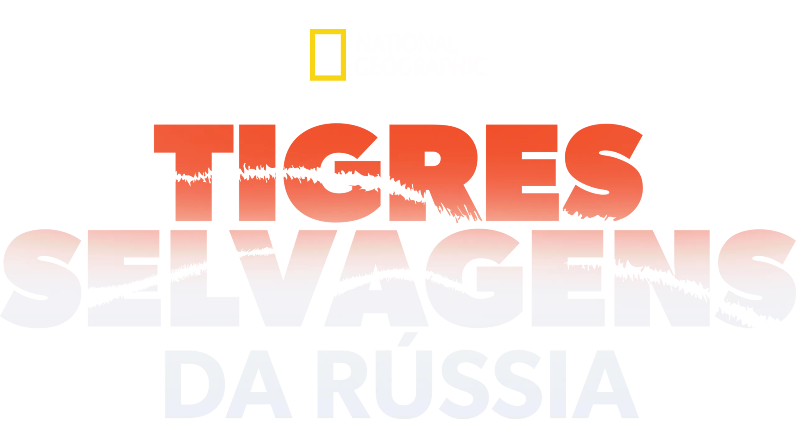 Tigres Selvagens da Rússia