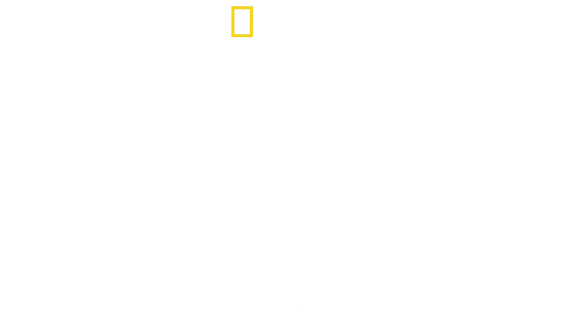 Nasca Lines Decoded