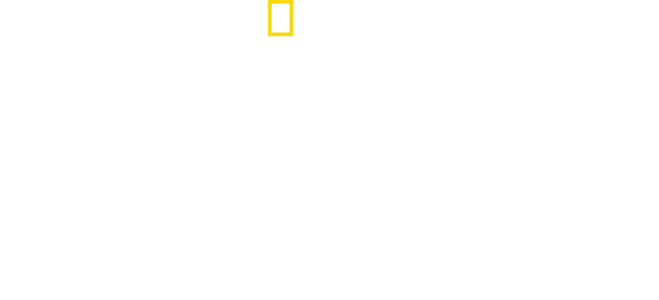 Bobi Wine: A nép elnöke