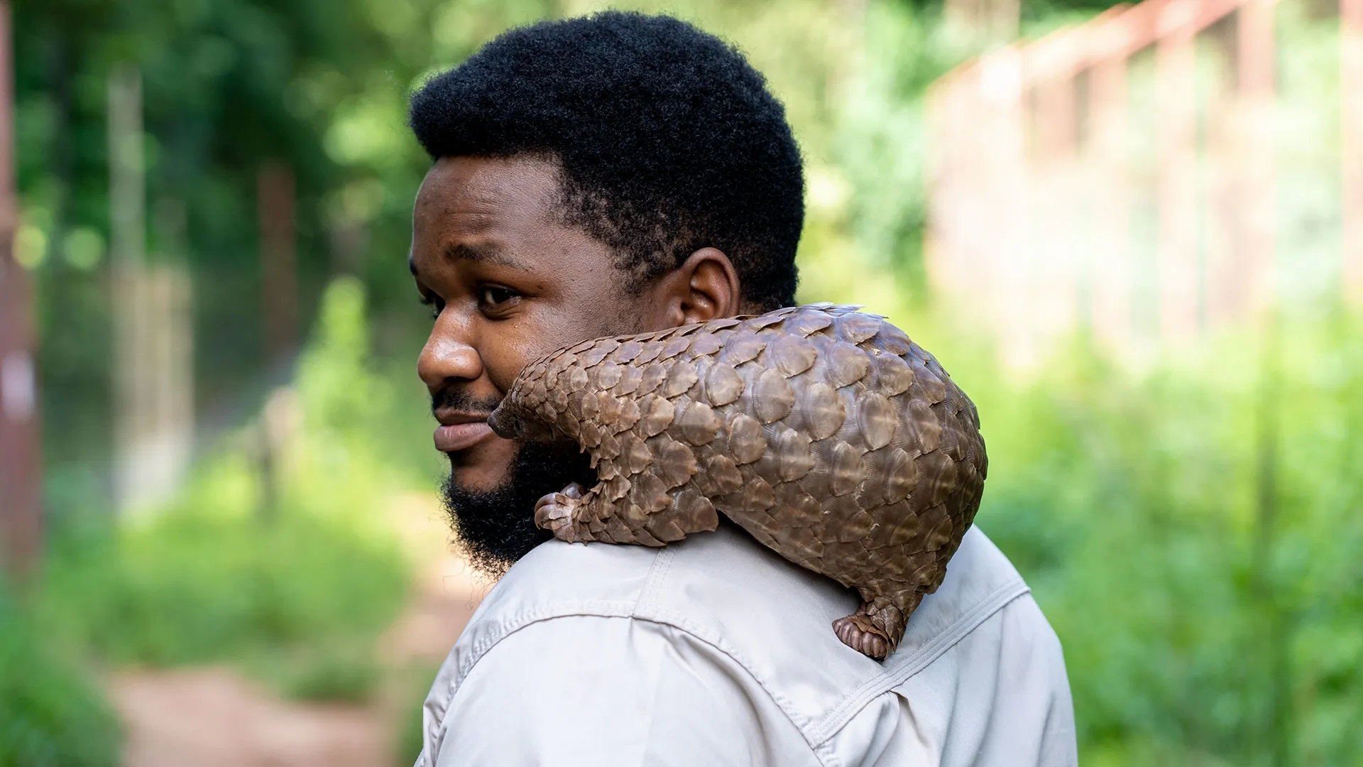 thumbnail - S2:E3 Walking with a Pangolin
