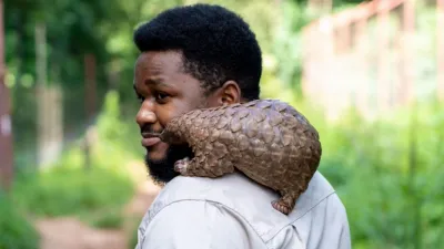 thumbnail - S2:E3 Walking with a Pangolin