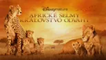 thumbnail - Africké šelmy: Kráľovstvo odvahy