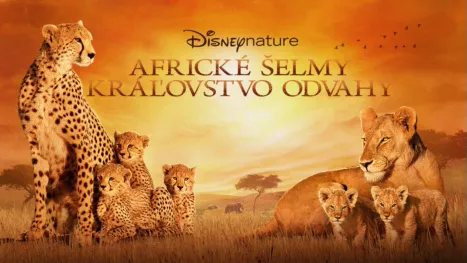 thumbnail - Africké šelmy: Kráľovstvo odvahy