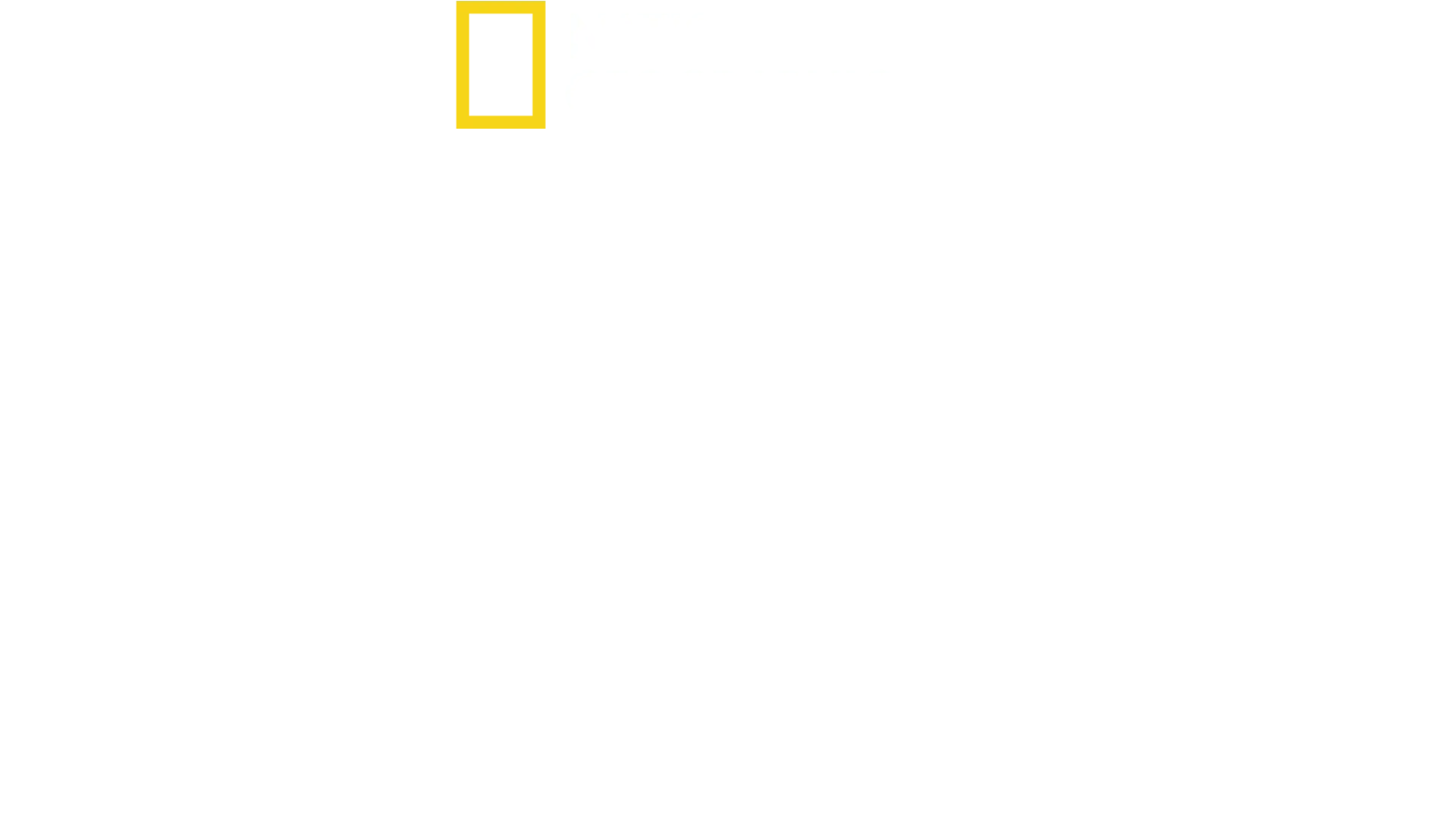 A varázslatos Disney's Animal Kingdom