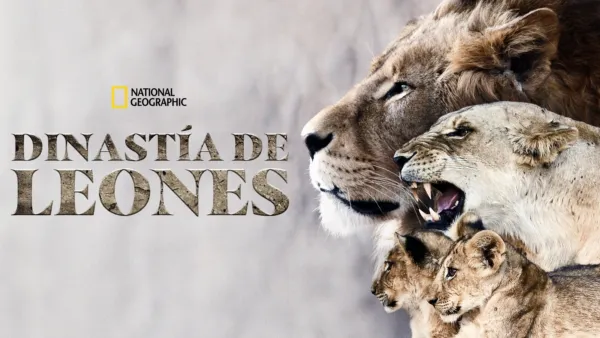 thumbnail - Dinastía de leones