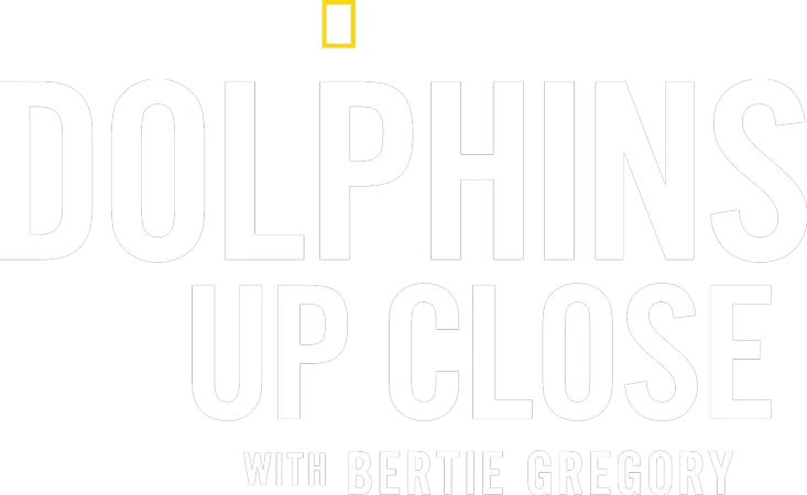 Dolphins Up Close with Bertie Gregory
