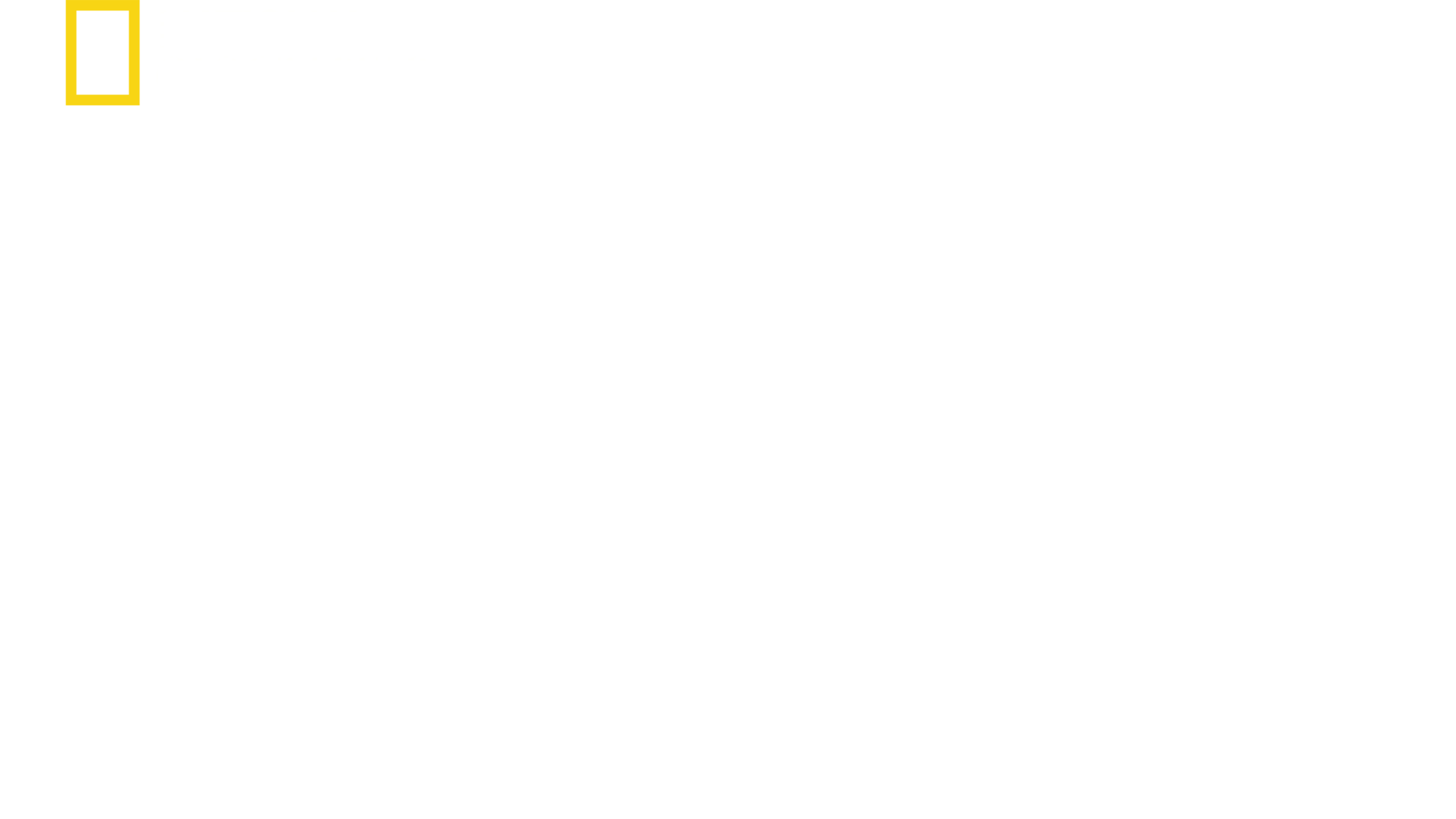 鲨鱼攻击实录