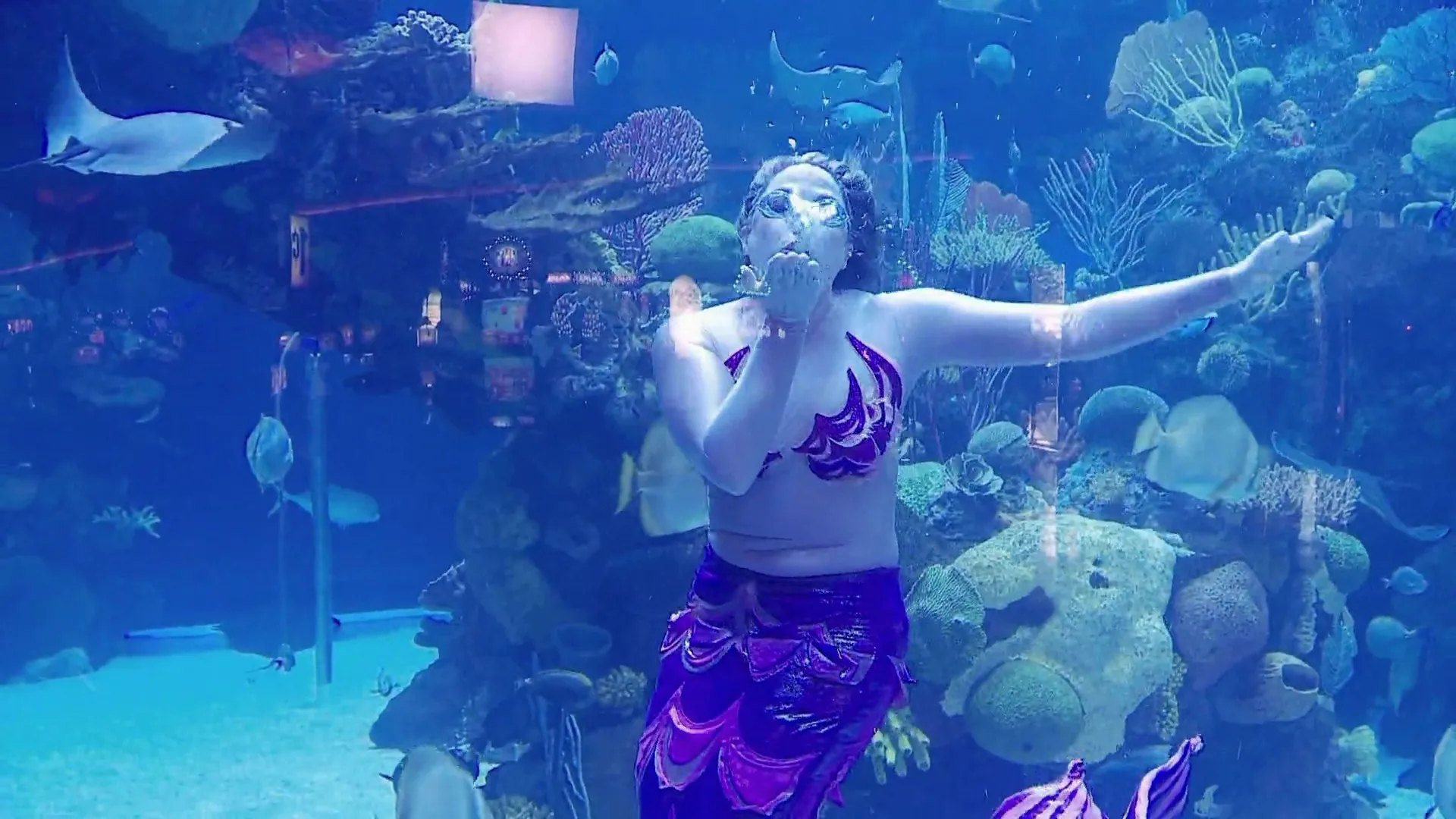 thumbnail - M1:Ep1 Brett Takes a Dive