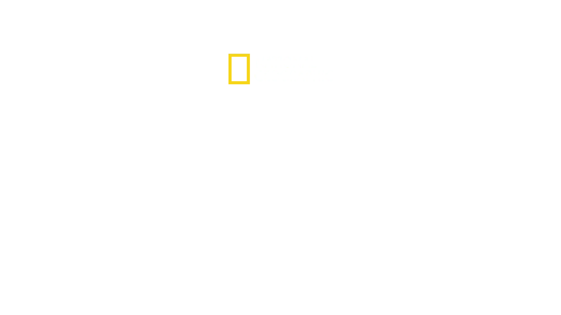 Africa's Deadliest