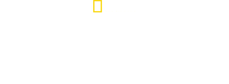 Africa's Deadliest