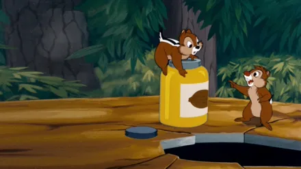 Všechno ve skořápce