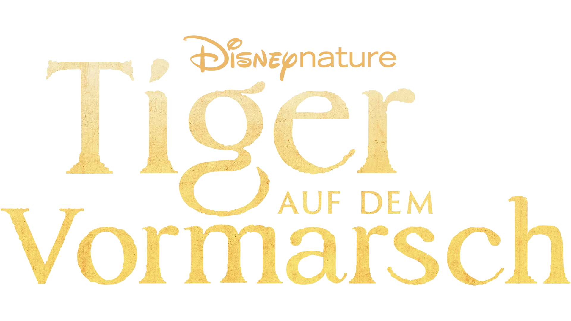 Tiger auf dem Vormarsch