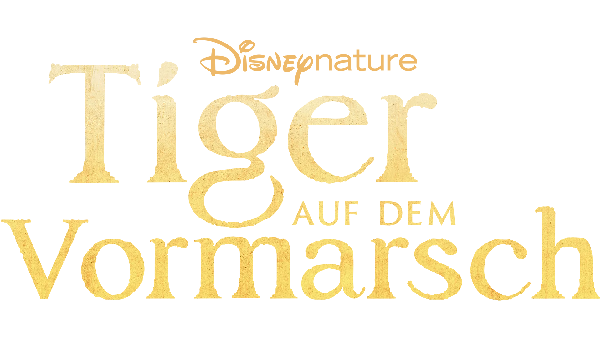 Tiger auf dem Vormarsch